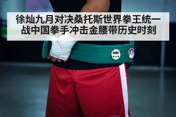 boxing championship belt